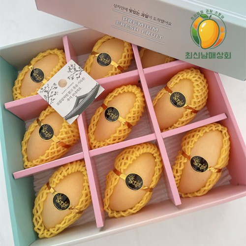 프리미엄 골드 망고 선물세트 9과